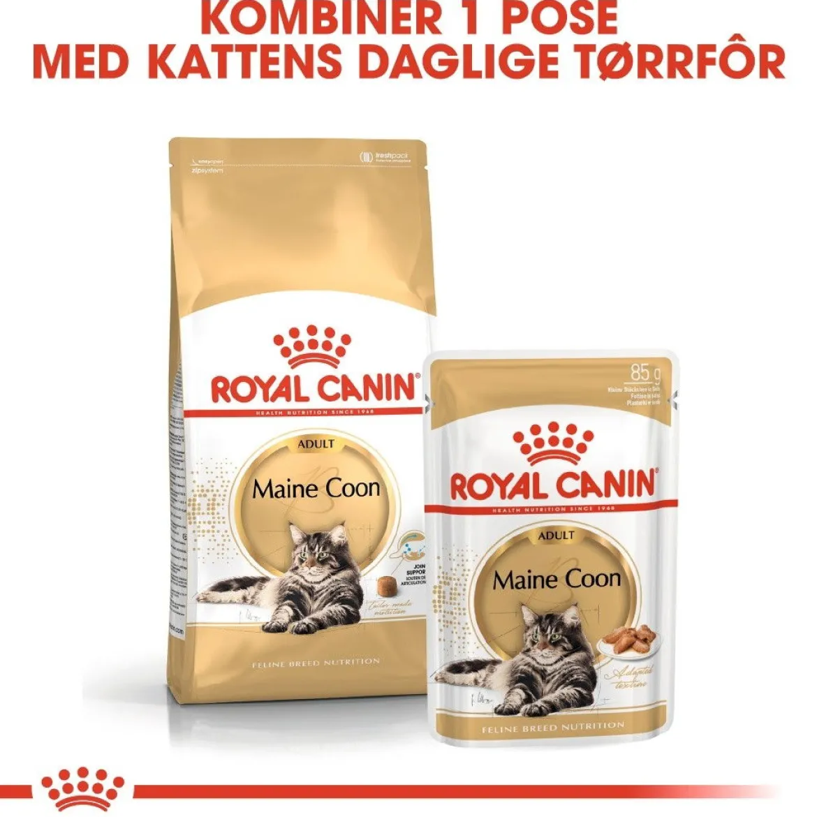 Royal Canin Maine Coon 85g, 48-pack