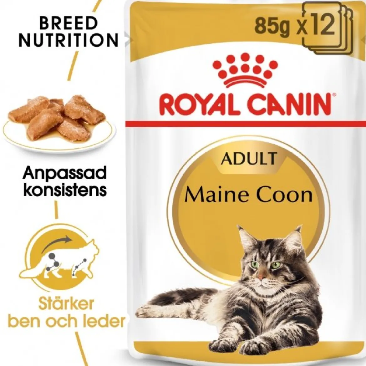 Royal Canin Maine Coon 85g, 48-pack
