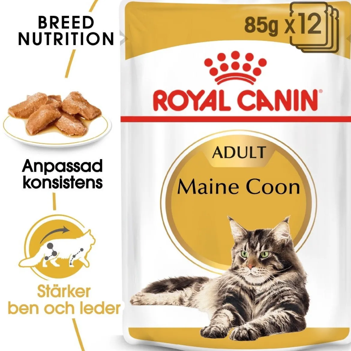 Royal Canin Maine Coon 85g, 48-pack