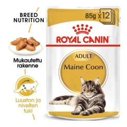 Royal Canin Maine Coon 85g, 48-pack