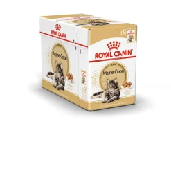 Royal Canin Maine Coon 85g, 48-pack