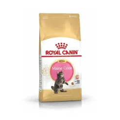 Royal Canin Maine Coon Kitten