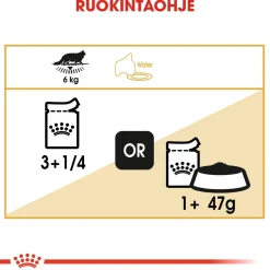 Royal Canin Maine Coon Wet 12 x 85 g