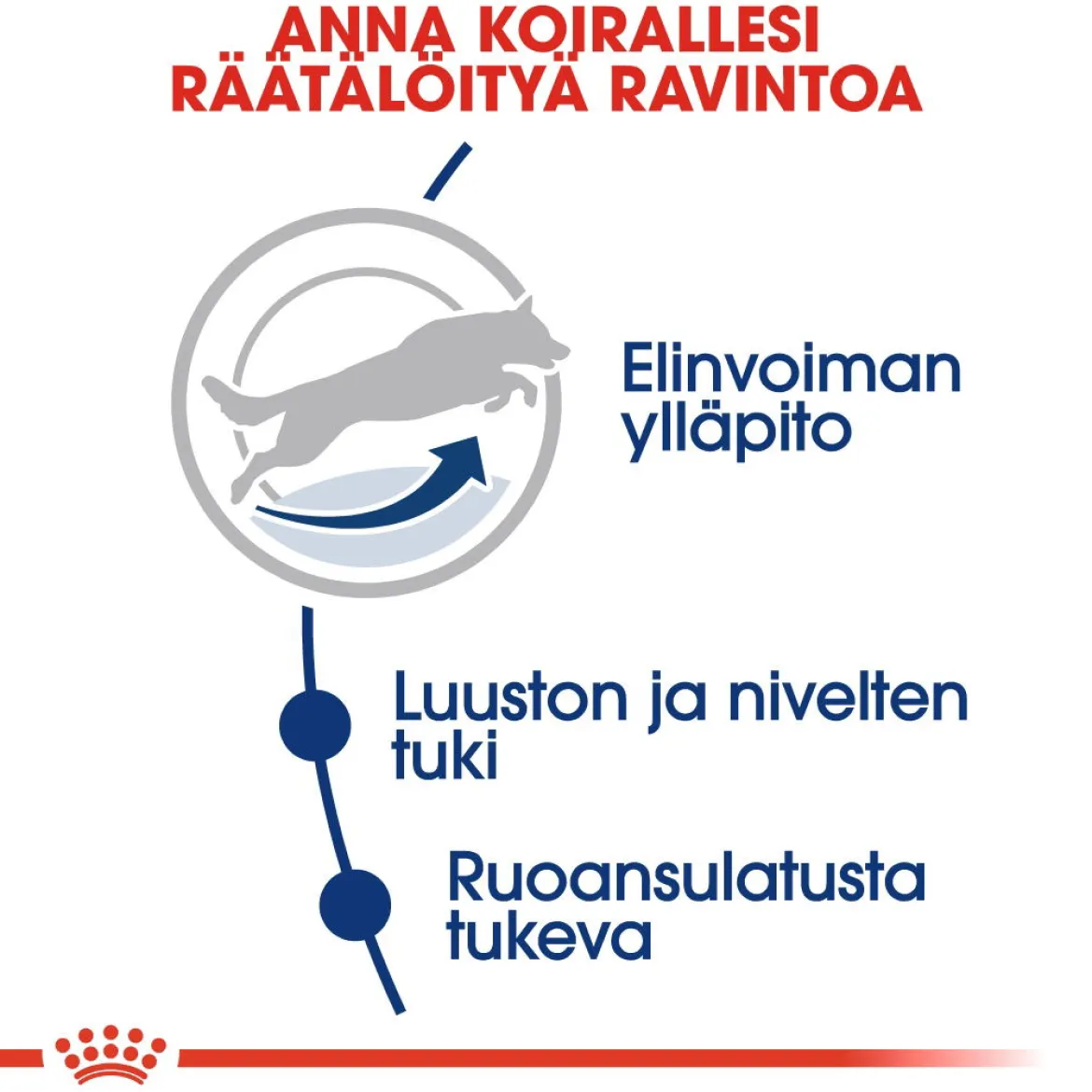 Royal Canin Maxi Adult 5+