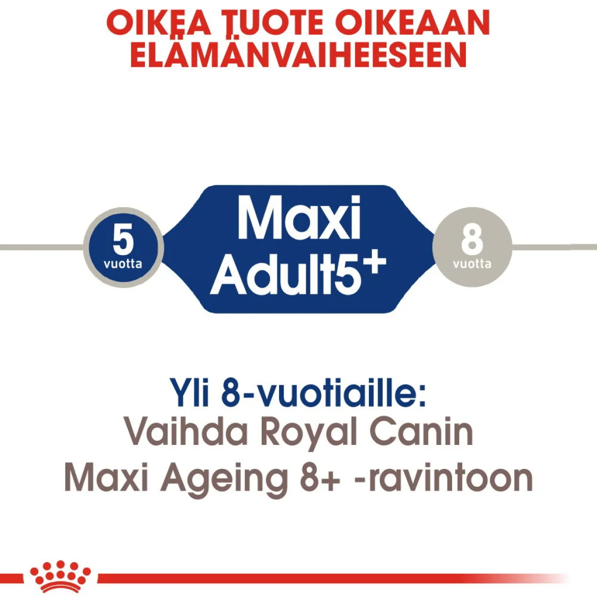 Royal Canin Maxi Adult 5+