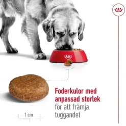 Royal Canin Maxi Adult 5+ 2 x 15kg