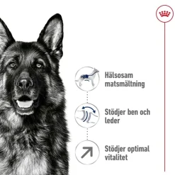 Royal Canin Maxi Adult 5+ 2 x 15kg