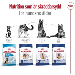 Royal Canin Maxi Adult 2 x 15 kg