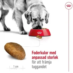Royal Canin Maxi Adult 2 x 15 kg