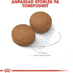 Royal Canin Maxi Adult 2 x 15 kg