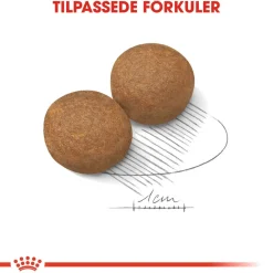 Royal Canin Maxi Adult 2 x 15 kg