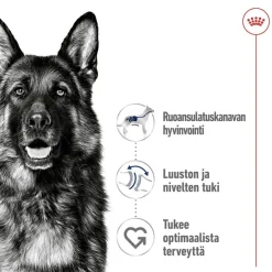 Royal Canin Maxi Adult 2 x 15 kg
