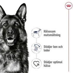 Royal Canin Maxi Adult 2 x 15 kg