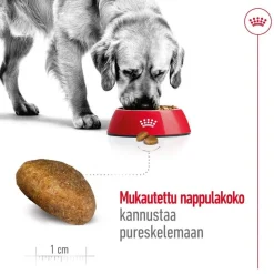 Royal Canin Maxi Adult 2 x 15 kg