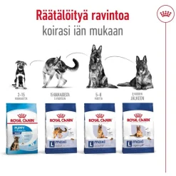 Royal Canin Maxi Adult 2 x 15 kg