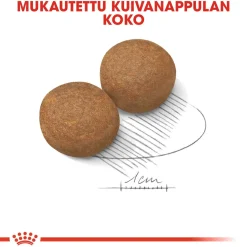 Royal Canin Maxi Adult 2 x 15 kg