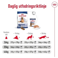 Royal Canin Maxi Ageing 8+ 2 x 15kg