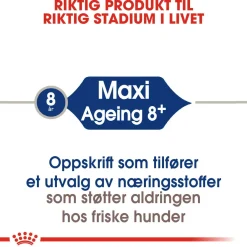 Royal Canin Maxi Ageing 8+ 2 x 15kg