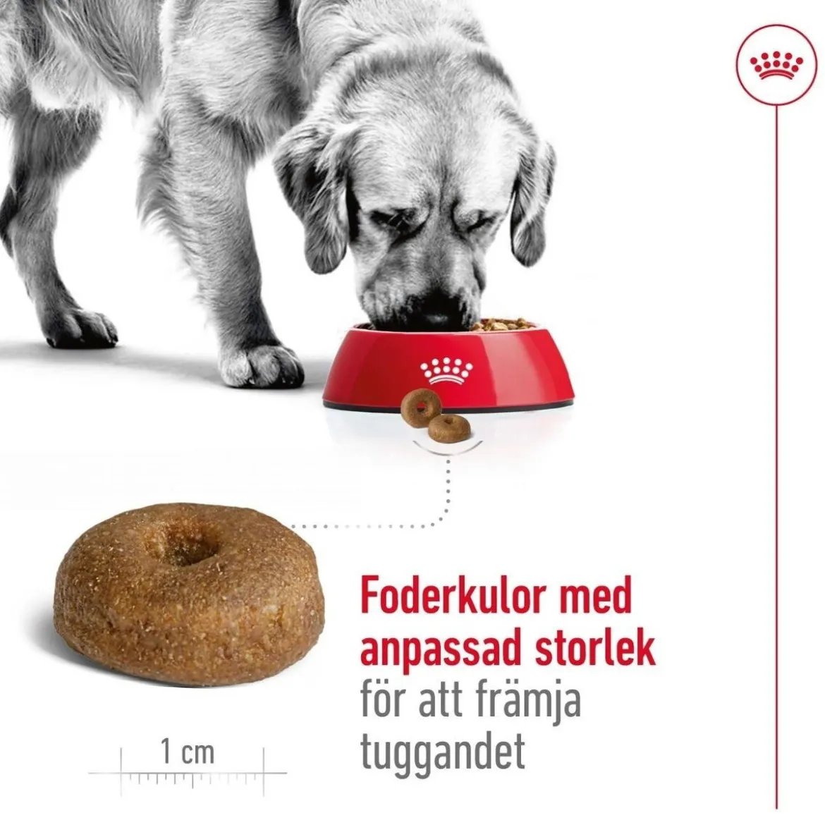 Royal Canin Maxi Ageing 8+ 2 x 15kg