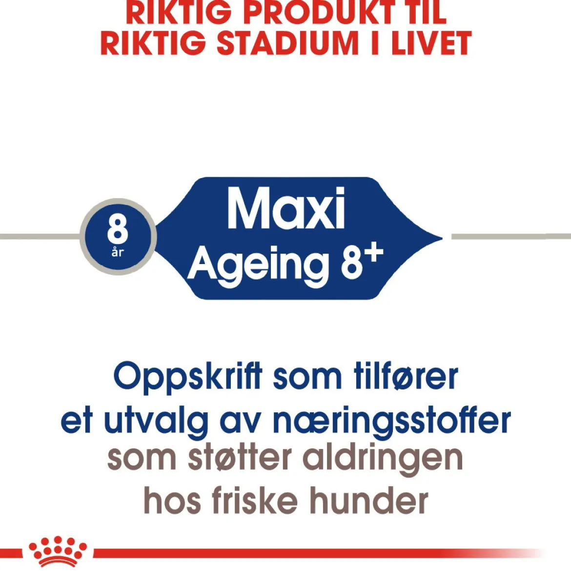 Royal Canin Maxi Ageing 8+ 2 x 15kg