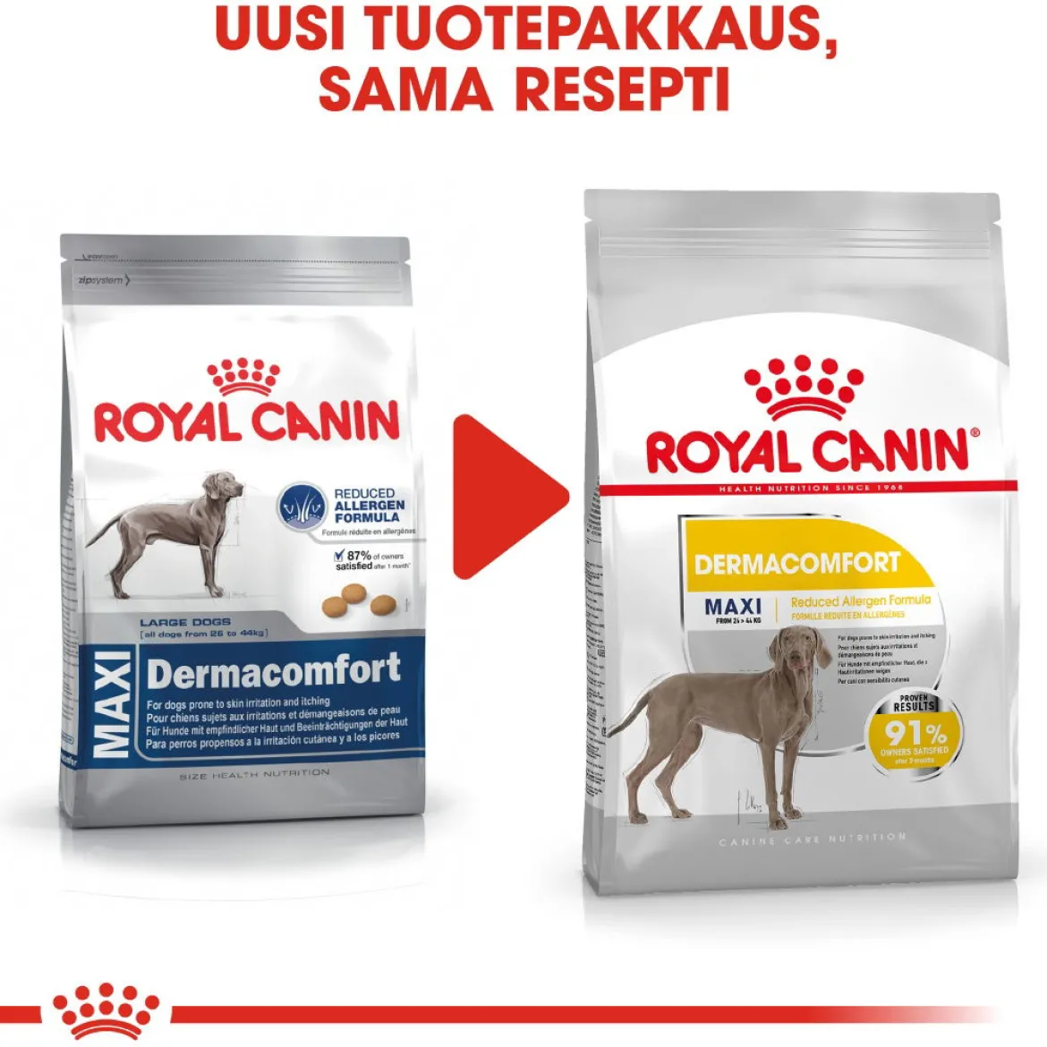 Royal Canin Maxi Dermacomfort