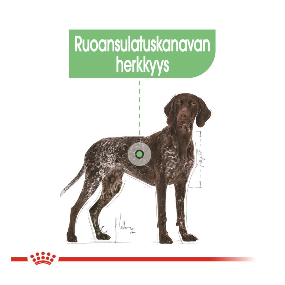 Royal Canin Maxi Digestive Care