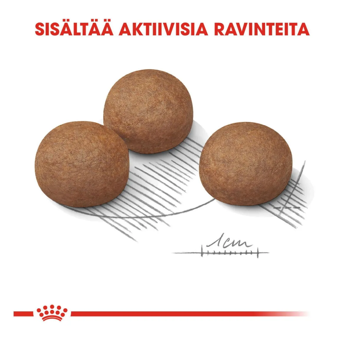 Royal Canin Maxi Digestive Care