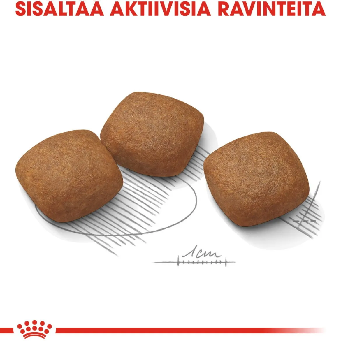 Royal Canin Maxi Joint Care
