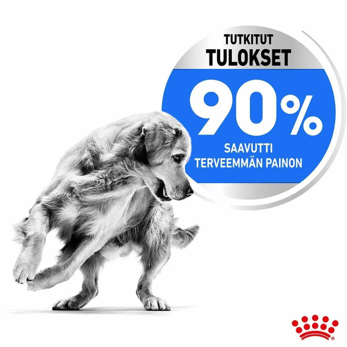 Royal Canin Maxi Light Weight Care