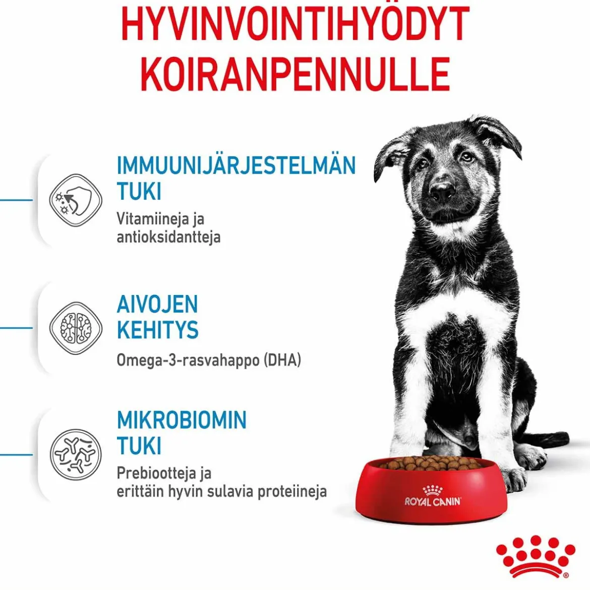 Royal Canin Maxi Puppy