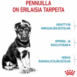 Royal Canin Maxi Puppy