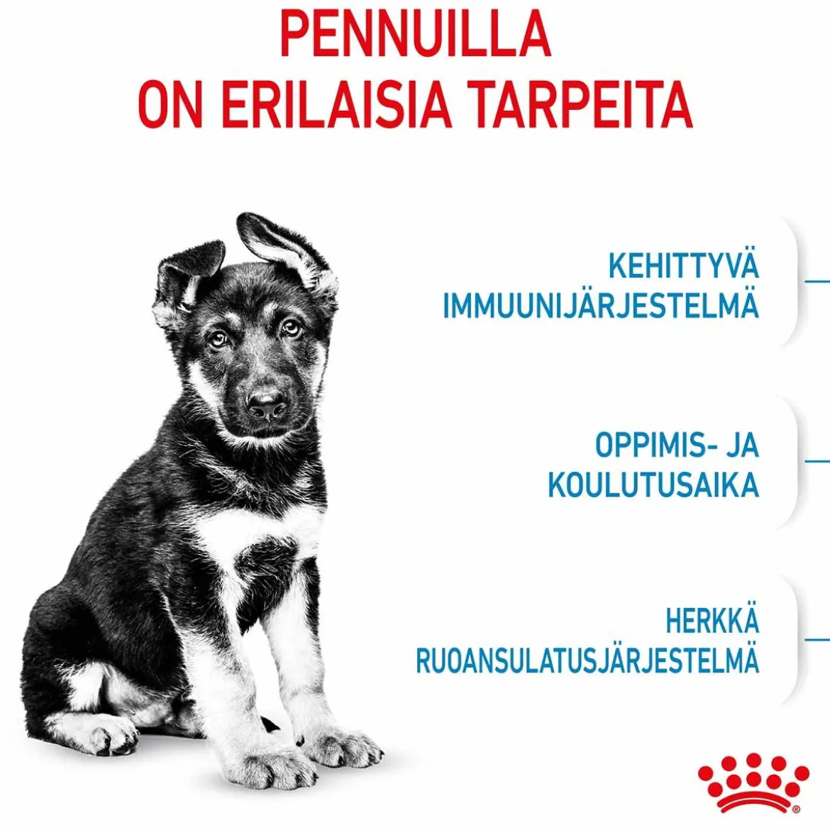 Royal Canin Maxi Puppy
