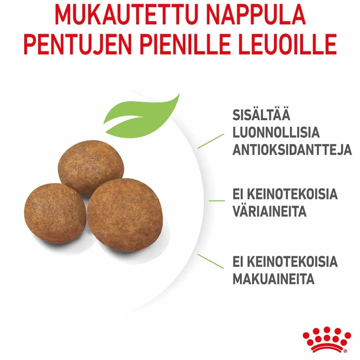 Royal Canin Maxi Puppy