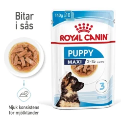 Royal Canin Maxi Puppy 40x140 g