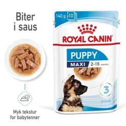 Royal Canin Maxi Puppy 40x140 g
