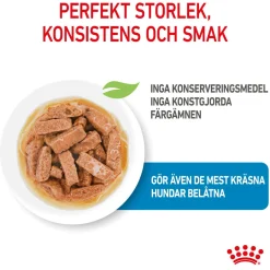 Royal Canin Maxi Puppy 40x140 g