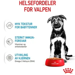 Royal Canin Maxi Puppy 40x140 g