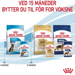 Royal Canin Maxi Puppy 40x140 g