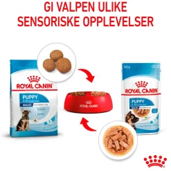Royal Canin Maxi Puppy 40x140 g