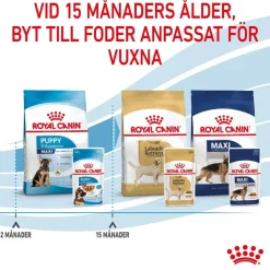 Royal Canin Maxi Puppy 40x140 g