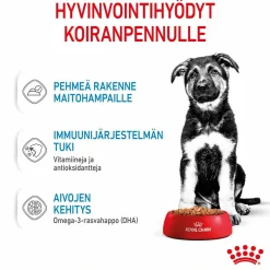 Royal Canin Maxi Puppy 40x140 g