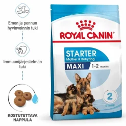 Royal Canin Maxi Starter