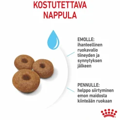 Royal Canin Maxi Starter