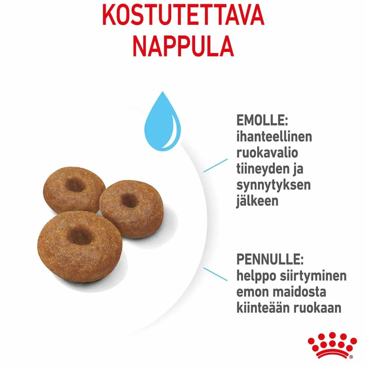Royal Canin Maxi Starter