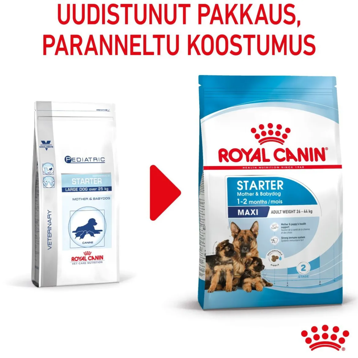 Royal Canin Maxi Starter
