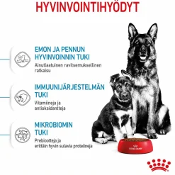 Royal Canin Maxi Starter