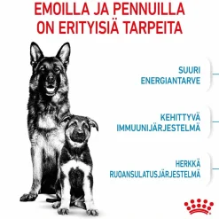 Royal Canin Maxi Starter