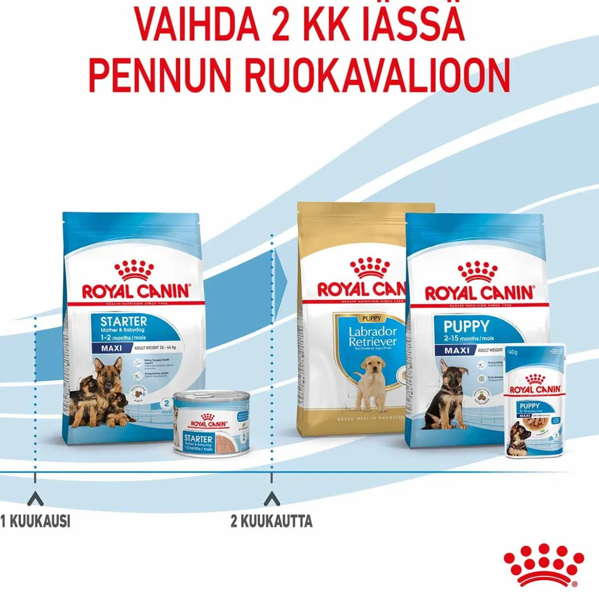 Royal Canin Maxi Starter