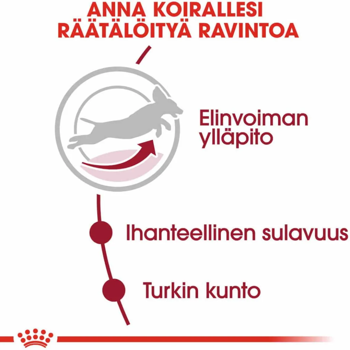 Royal Canin Medium Adult 7+