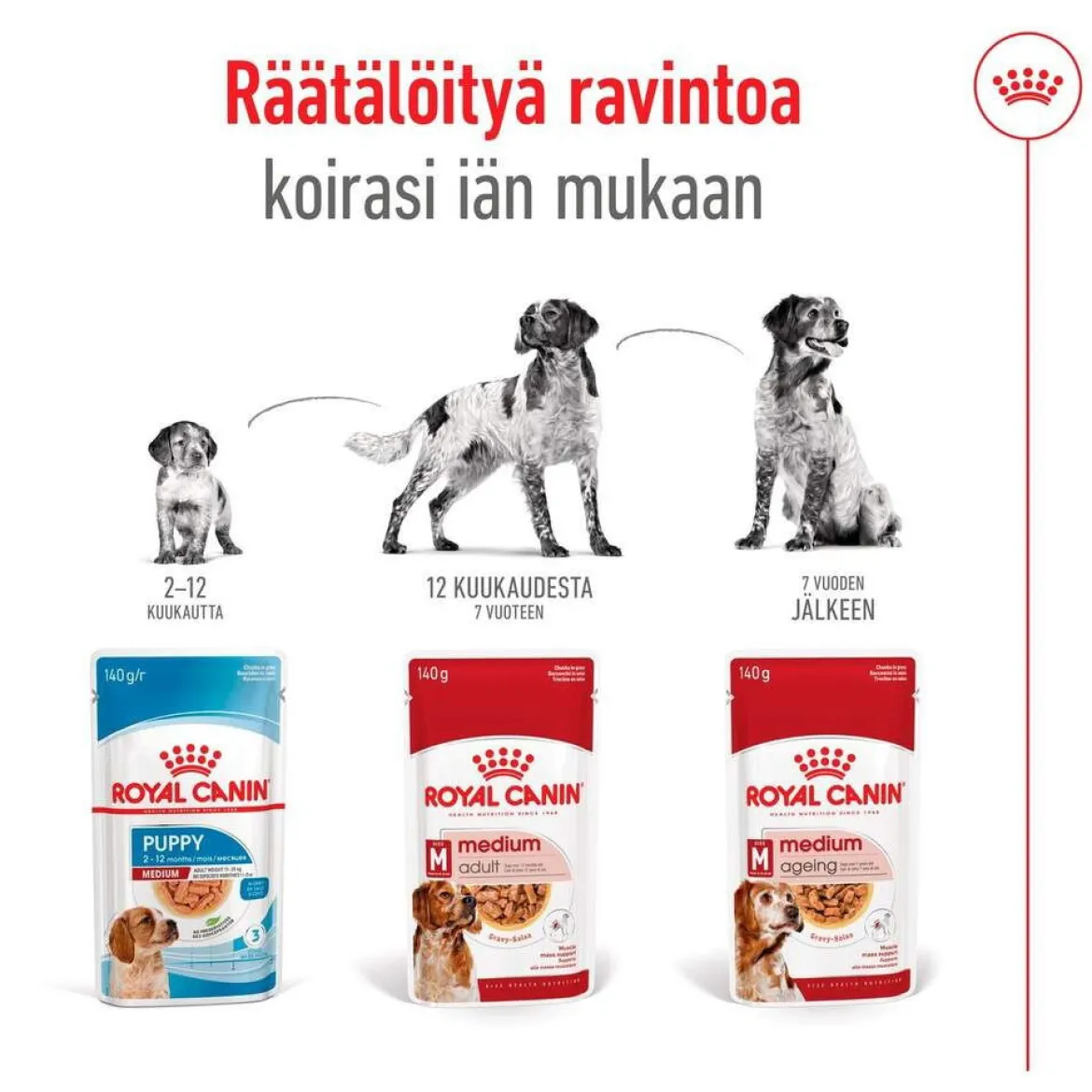 Royal Canin Medium Adult 40 x 140 g